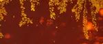 光影之中，细数紫禁城的秋日气质