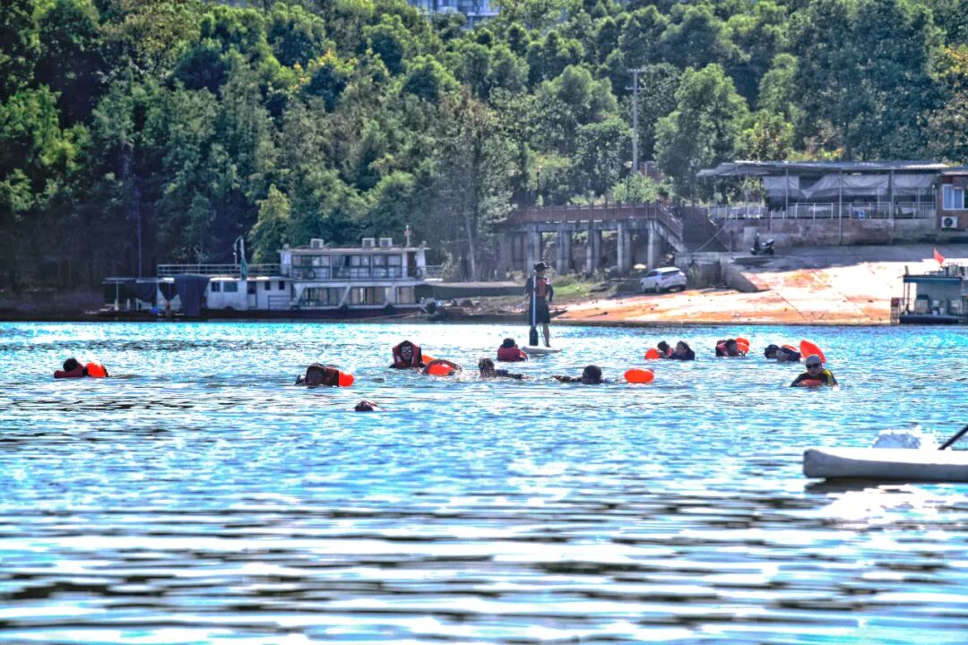 戰(zhàn)酷暑護(hù)平安 | 重慶特警開(kāi)展2024年度“礪劍淬刃”水陸兩棲專項(xiàng)訓(xùn)練