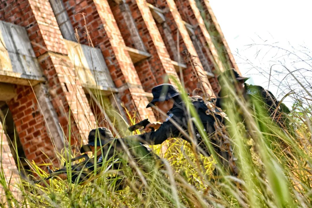 戰(zhàn)酷暑護(hù)平安 | 重慶特警開(kāi)展2024年度“礪劍淬刃”水陸兩棲專項(xiàng)訓(xùn)練