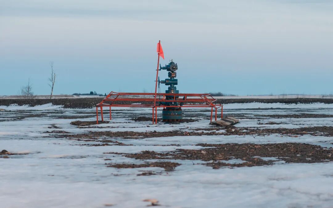 进军“新石油”市场，这些石油巨头频频出手！的图4