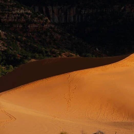 2023-09-11药事资讯