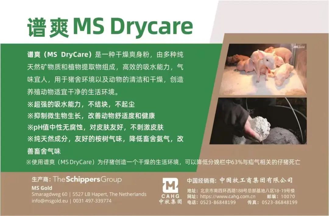 “中牧集团”推荐阅读【环境与设施】现代生态规模化猪场的建设要点