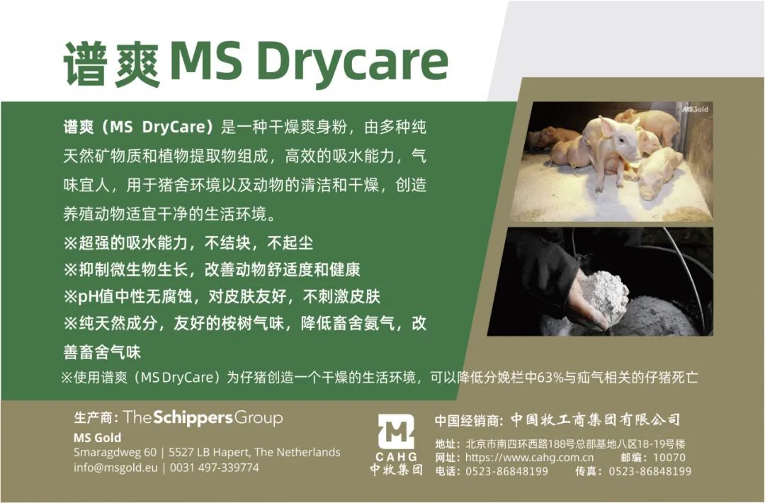 “中牧集团”推荐阅读【猪群保健】猪繁殖与呼吸综合征的防疫措施