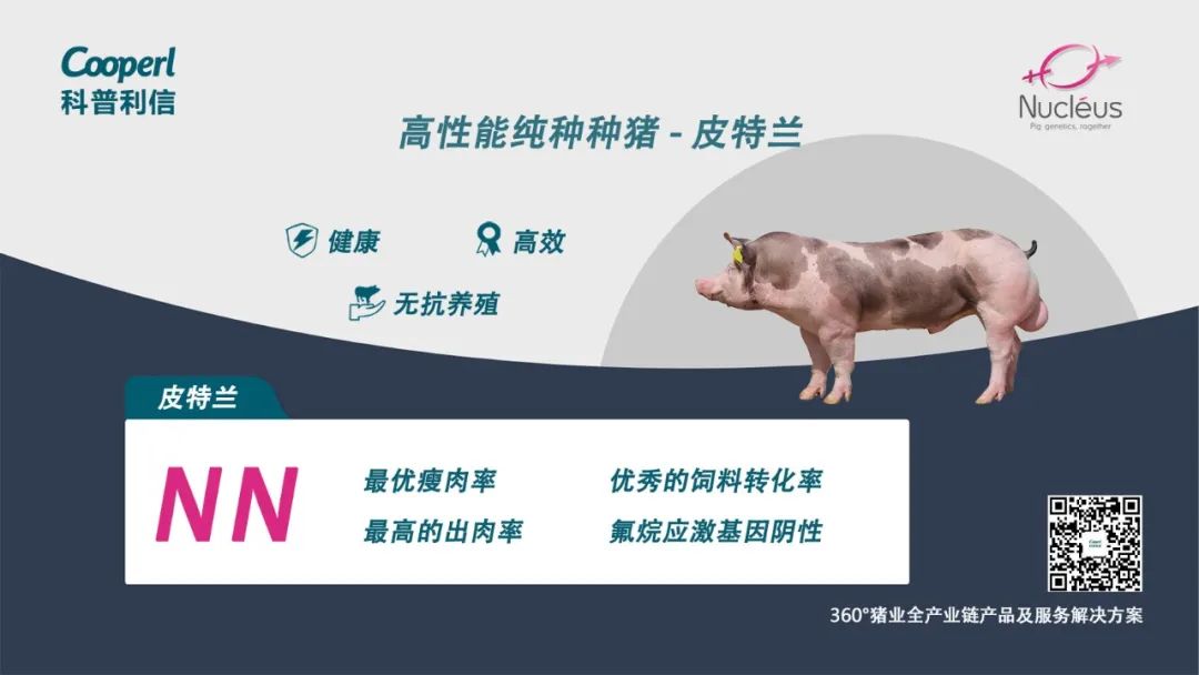“科普利信”推荐阅读【主题策划】楼房养猪生物安全关键点盘点与分析