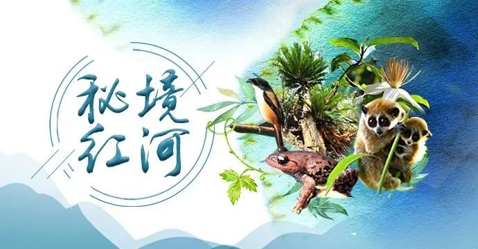 云南红河发布