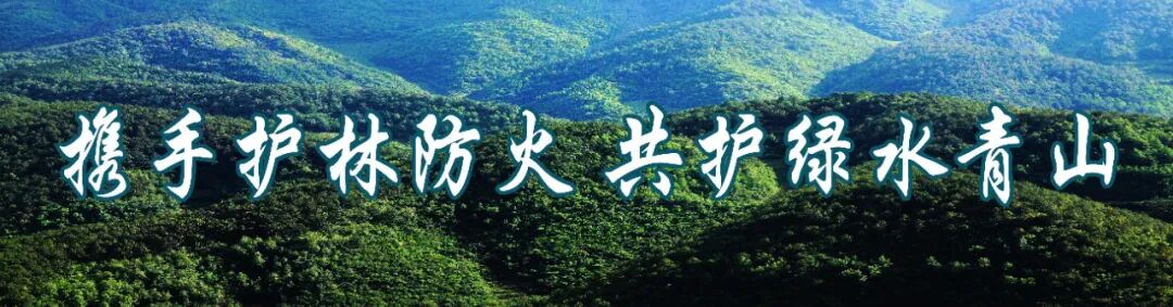 为什么要用光疗纸尿裤鲁甸县妇幼保健院开设全县首家“新生儿黄疸”日间光疗病房啦！！_https://www.jmylbn.com_新闻资讯_第7张