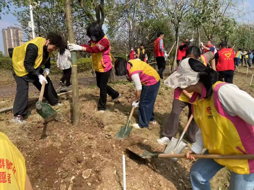妇联植树活动8.jpg