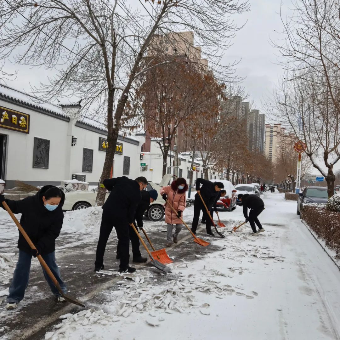 应对降雪 | 晋州市打响龙年第一场除雪清冰攻坚战(图4)