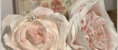 cover_image