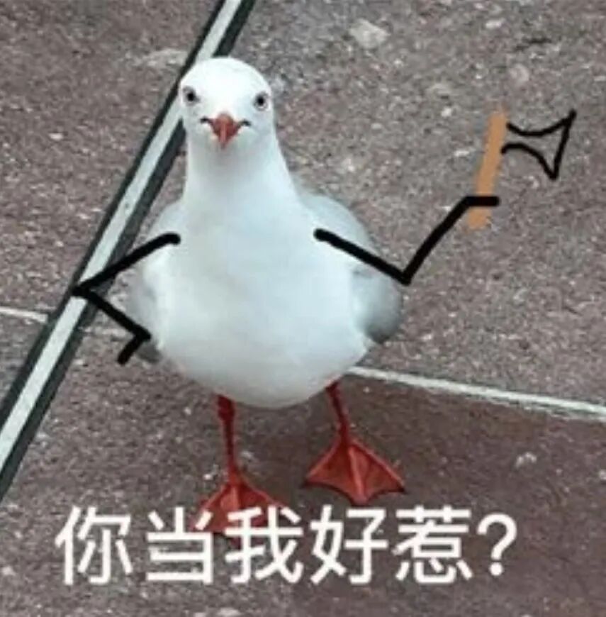 日大街天降老鼠伤人