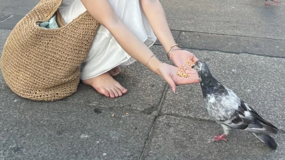 日大街天降老鼠伤人