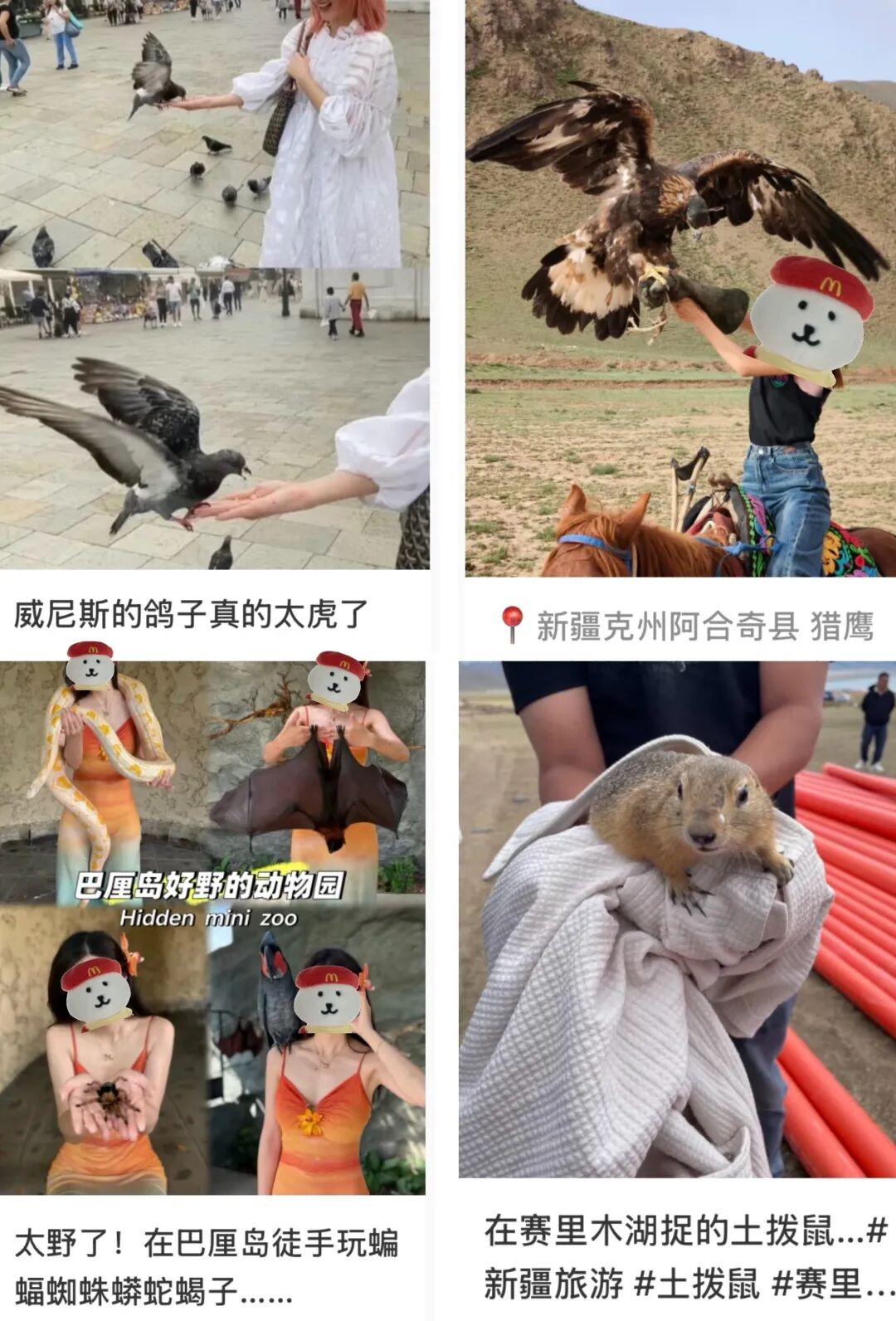 日大街天降老鼠伤人,千万别碰！旅游时最脏的 1 件事，很多人都不知道（还可能染病！