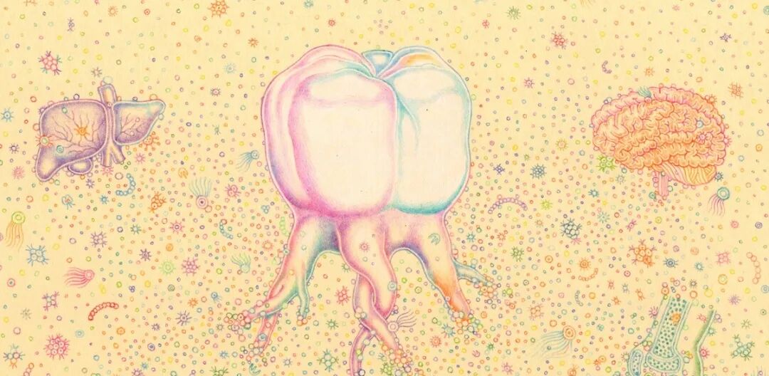 呼吸机湿化罐怎么加水谢克亮教授：ICU机械通气中的湿化与感控_https://www.jmylbn.com_新闻资讯_第6张