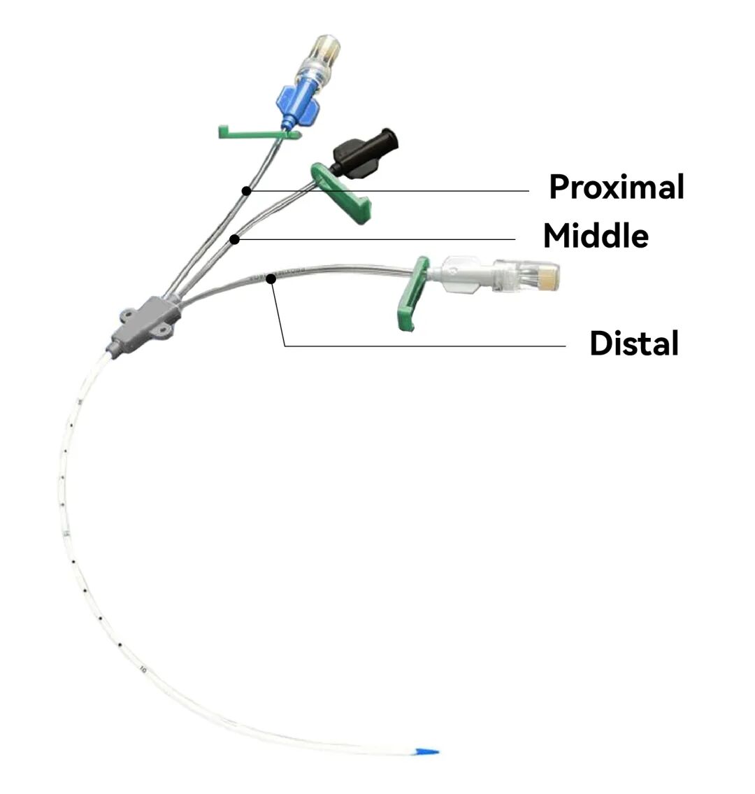 双腔cvc怎么开关中心静脉导管的另类知识，你了解多少？_https://www.jmylbn.com_新闻资讯_第5张