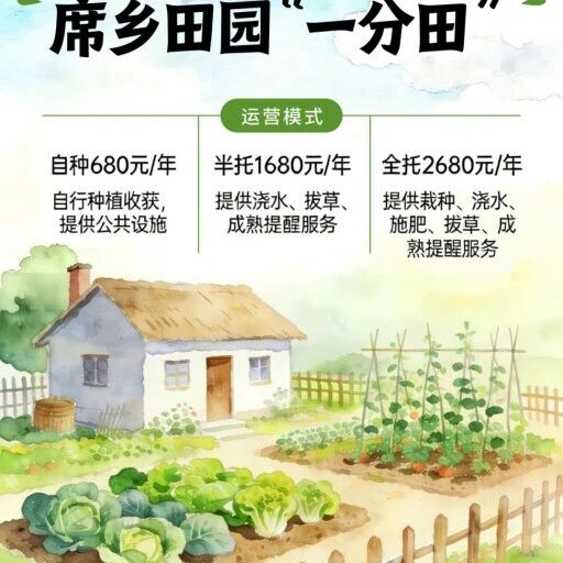 圆你“农场主”之梦！快来认领“一分田”吧