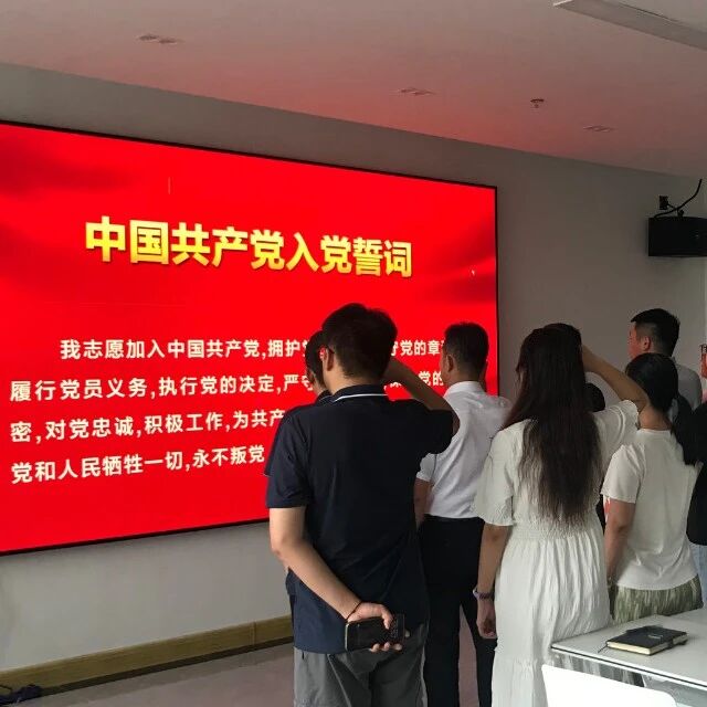 庆七一 淬初心 担使命｜新泊控股集团党支部开展建党105周年主题党日活动