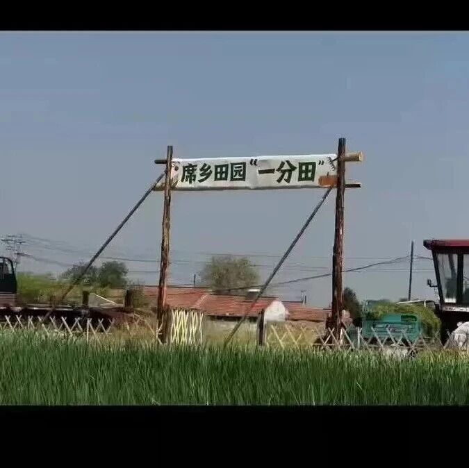 席乡田园“一分田”开园啦！
