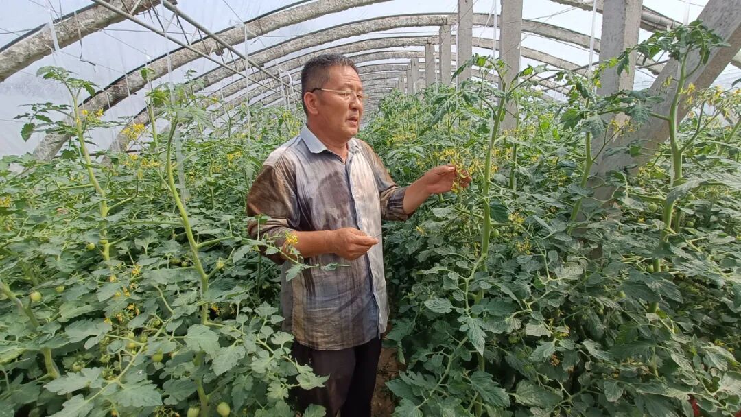 种子的太空“蝶变”！揭秘菏泽籍种子与“航天”的不解之缘