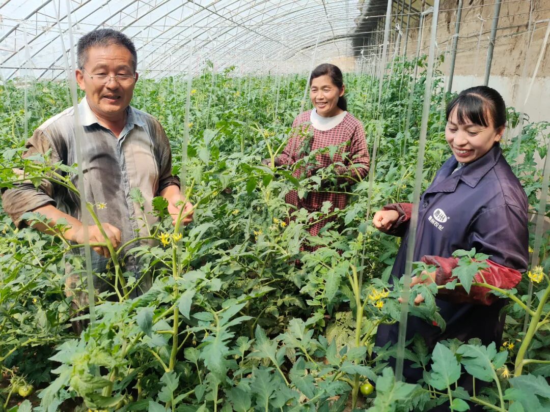 种子的太空“蝶变”！揭秘菏泽籍种子与“航天”的不解之缘