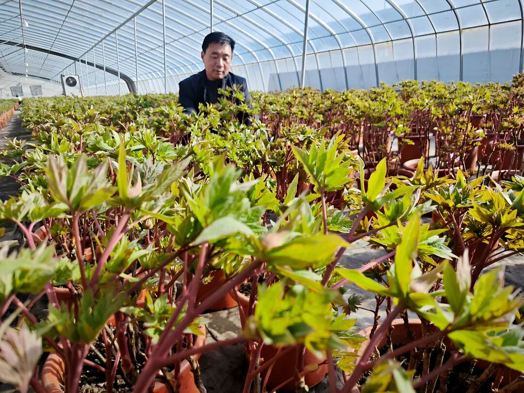 GetAttachment (1).jpg