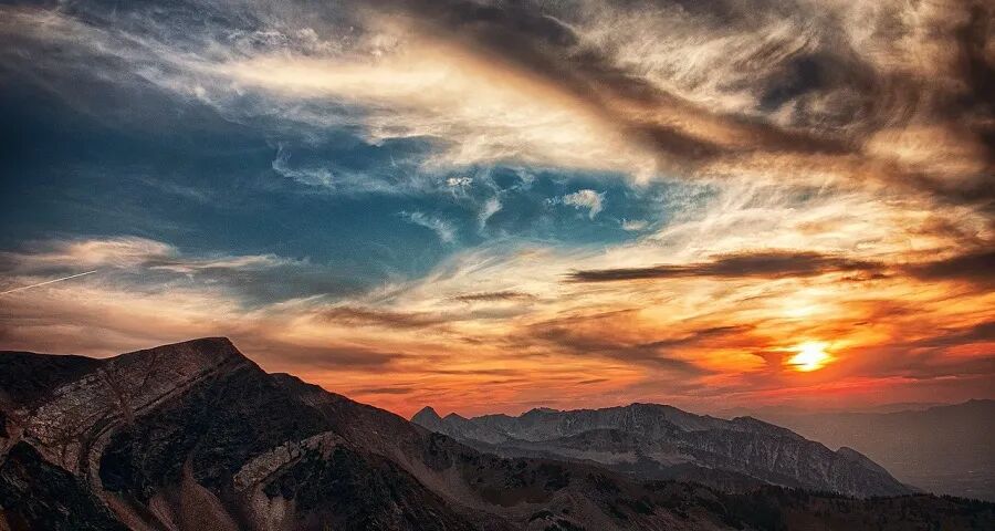 电器厂商的活路：多跑市场少忽悠