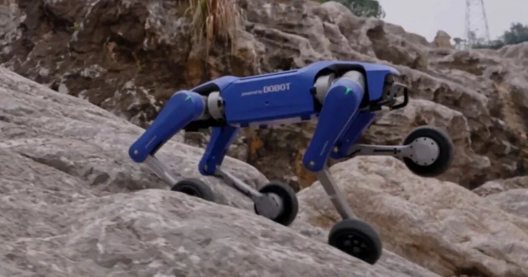 DOBOT's $1K Rover X1: A Robot Dog for the Rest of Us? | RoboHorizon Robot Magazine - AI you can ...