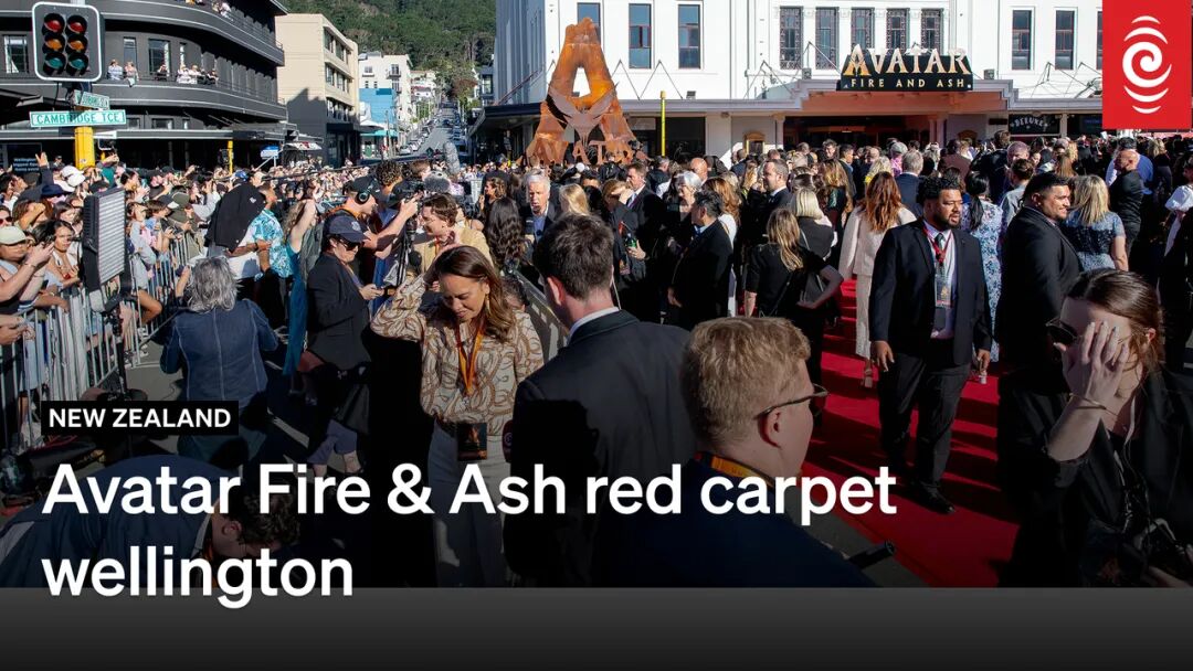 Wellington has done so well': thousands gather for Avatar 3 premiere | RNZ