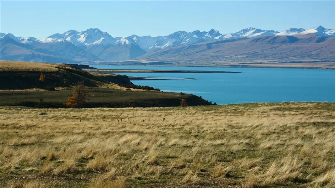 Lake Tekapo area: Places to go in Canterbury