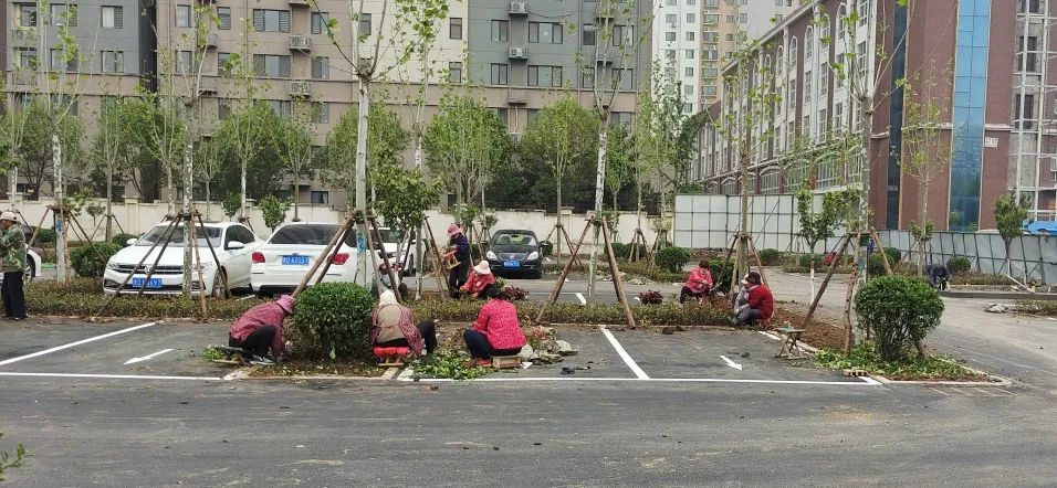 五一坚守！龙泉北路、保利口袋公园、大同路游园、府前路停车场...(图12)