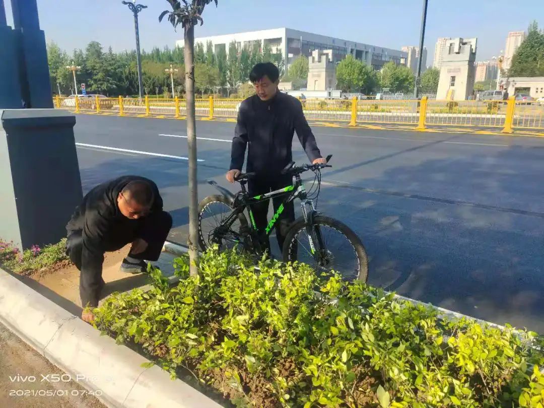 五一坚守！龙泉北路、保利口袋公园、大同路游园、府前路停车场...(图1)