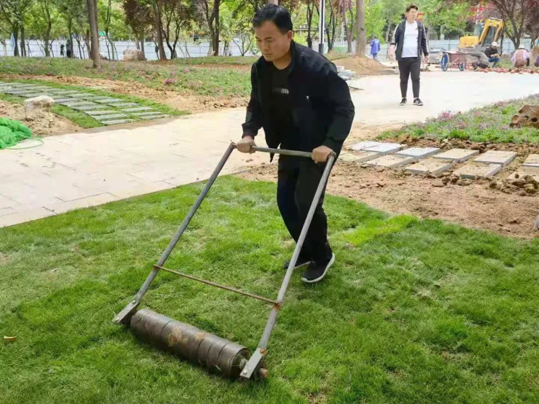 五一坚守！龙泉北路、保利口袋公园、大同路游园、府前路停车场...(图8)