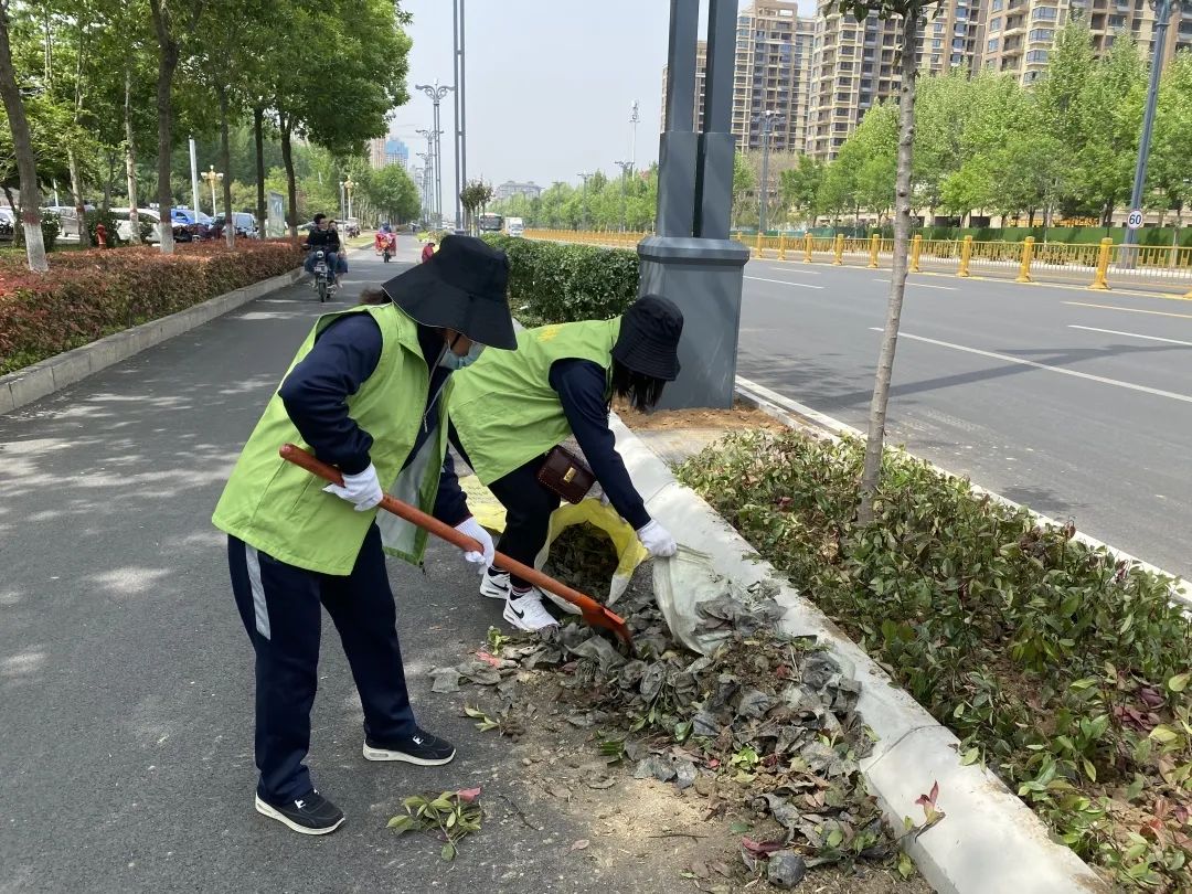 五一坚守！龙泉北路、保利口袋公园、大同路游园、府前路停车场...(图3)