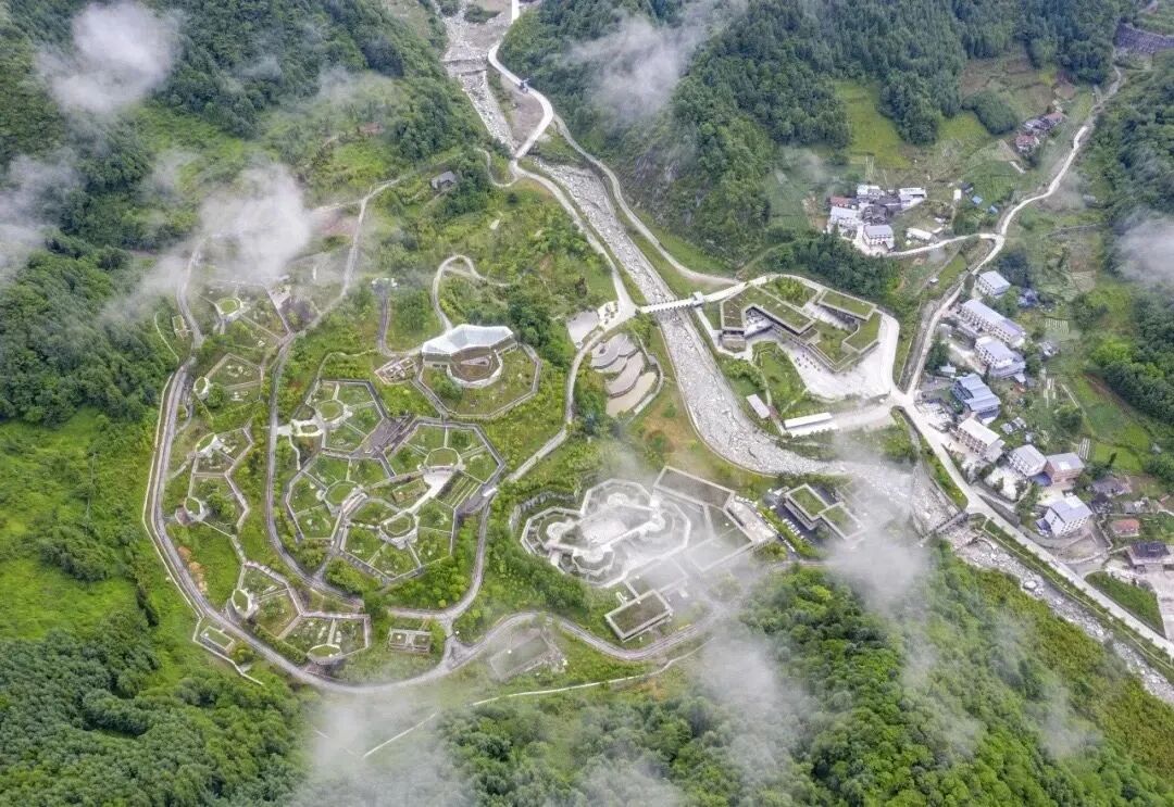 全世界都爱大熊猫,果不其然