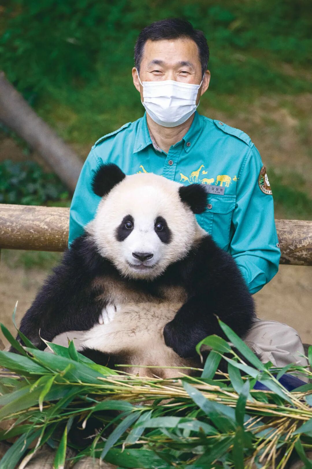 全世界都爱大熊猫,果不其然