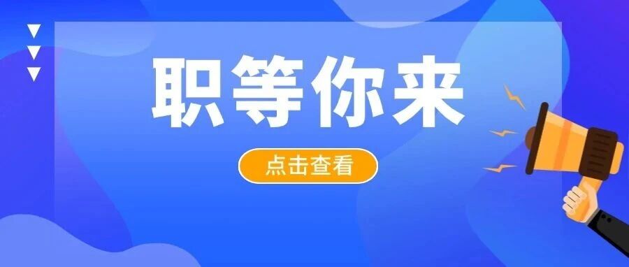 浦东人才发展26校招