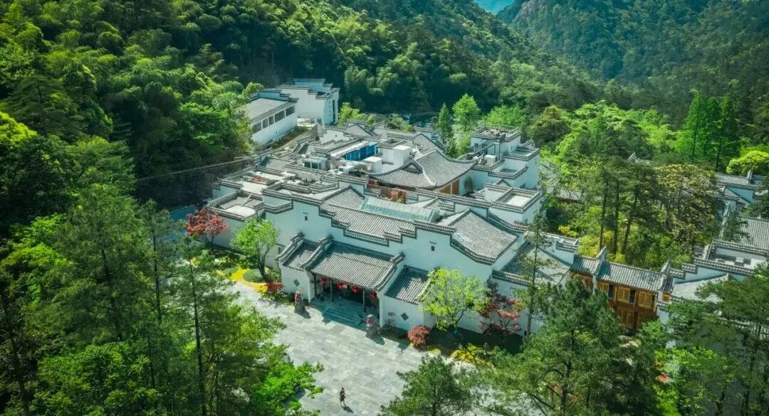 美团酒店大促 多地行政套房低至499元 暑期不加价