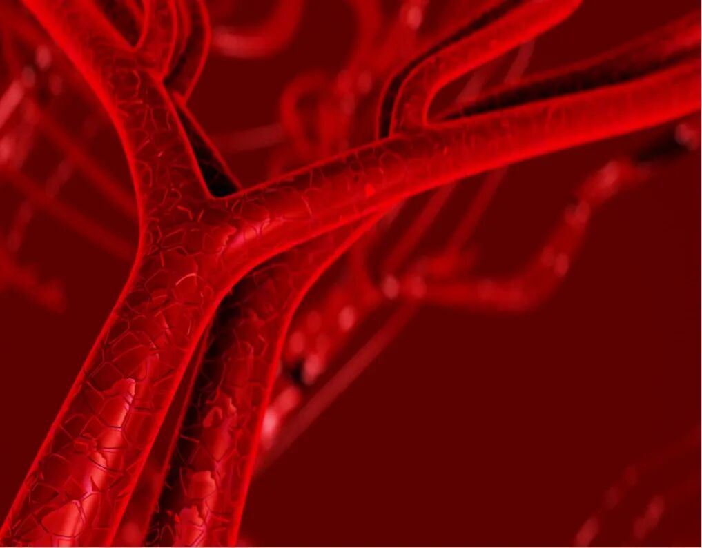 什么伤冷疗什么伤热疗运动损伤后究竟应该热敷还是冷敷？一篇全读懂→_https://www.jmylbn.com_新闻资讯_第14张