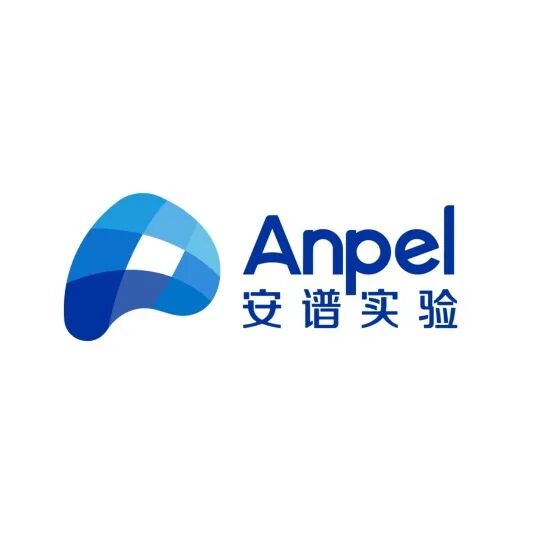 國(guó)產(chǎn)替代先鋒力量，重塑行業(yè)新格局