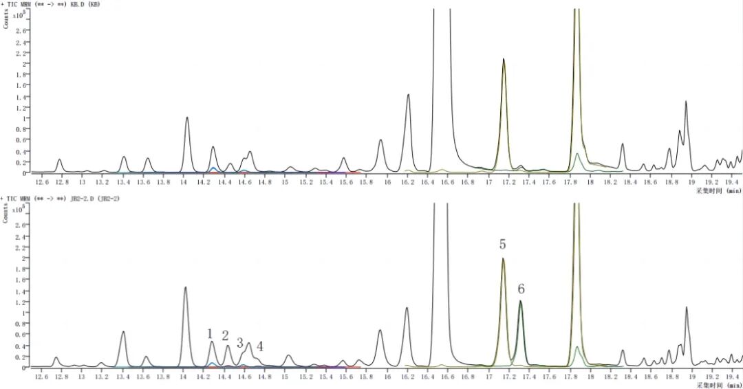 食品中氯丙醇酯、縮水甘油酯測定的整體解決方案Ⅱ—— GB 5009.191-2024