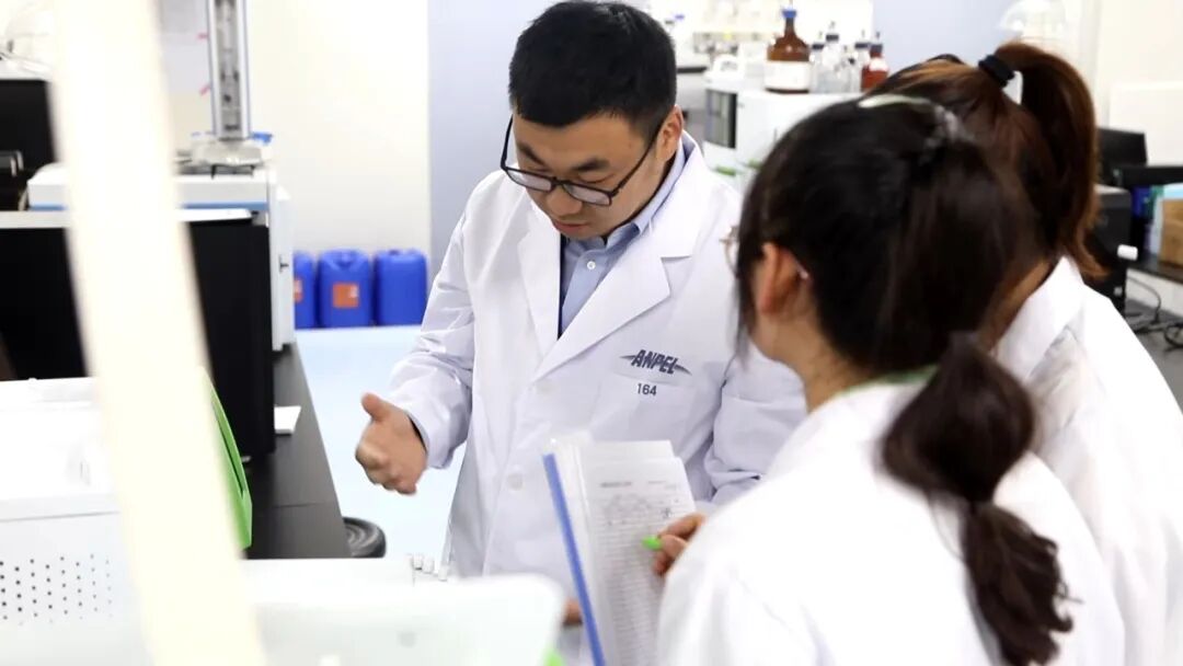 國(guó)產(chǎn)替代先鋒力量，重塑行業(yè)新格局