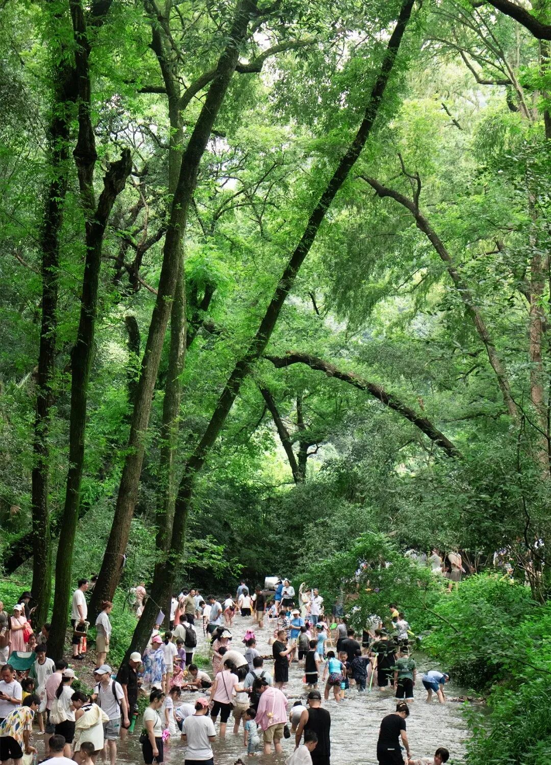 九溪十八涧2条避暑路线，杭州本地人7月亲测有效