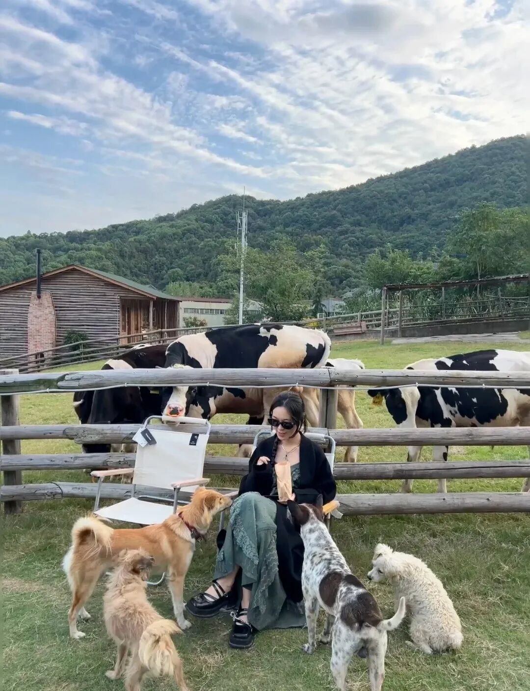 双浦镇藏着三处秘境，小阿勒泰和莫奈花园打车就到