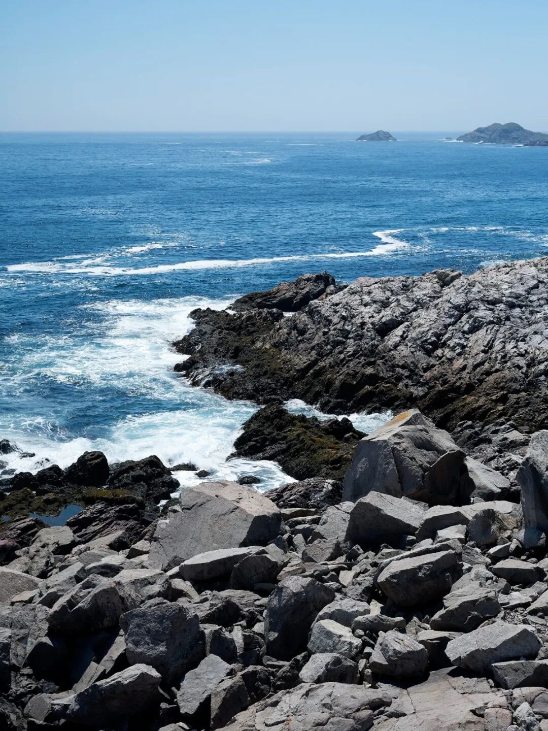 640?wx_fmt=jpeg&tp=webp&wxfrom=5&wx_lazy=1&wx_co=1