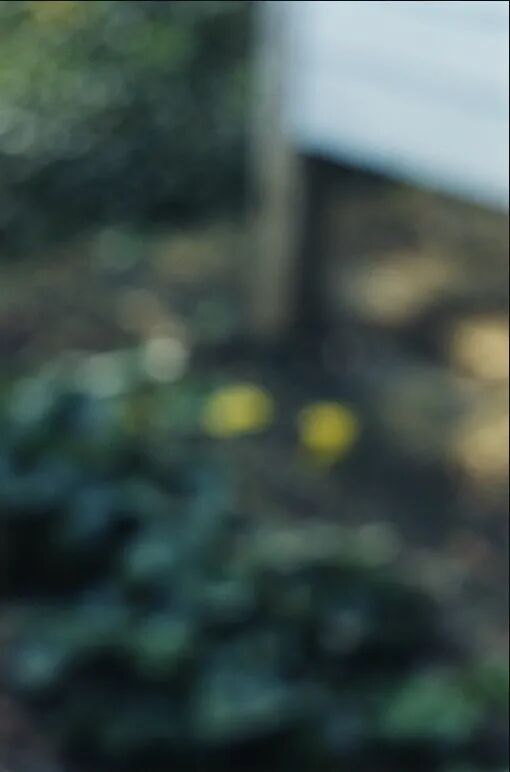 640?wx_fmt=jpeg&tp=webp&wxfrom=5&wx_lazy=1&wx_co=1