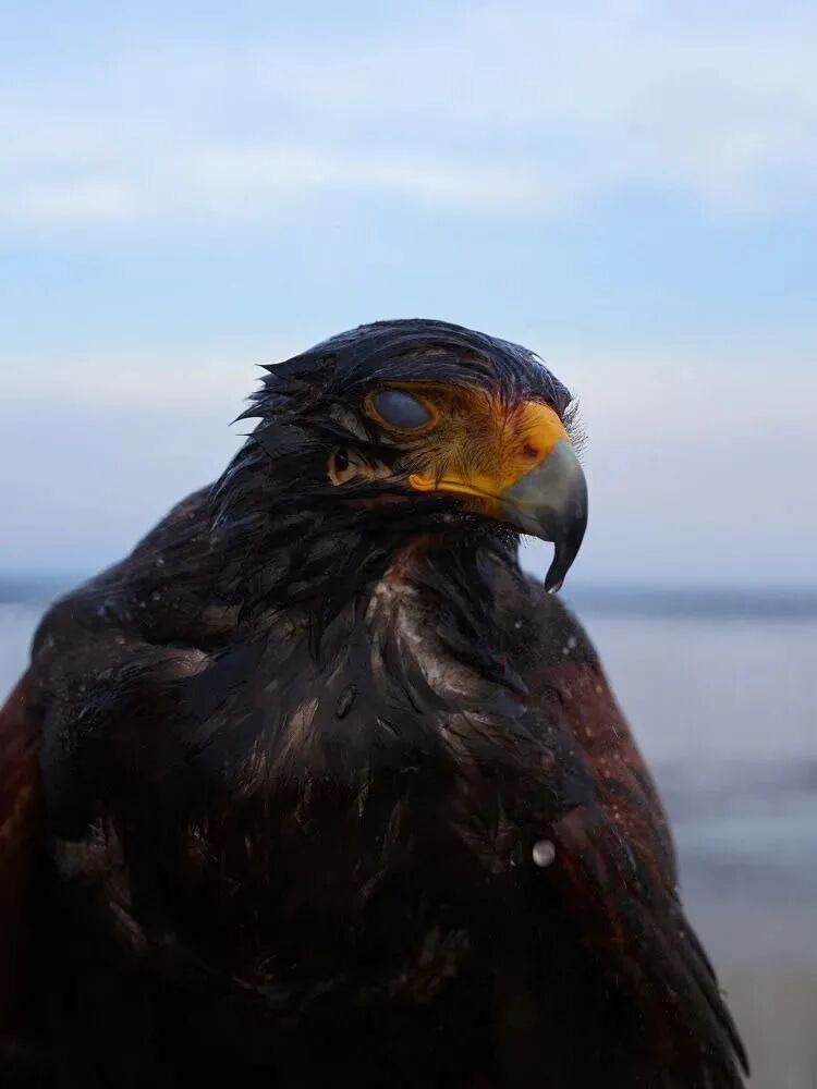 640?wx_fmt=jpeg&tp=webp&wxfrom=5&wx_lazy=1&wx_co=1