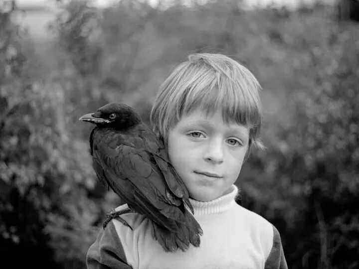 640?wx_fmt=jpeg&tp=webp&wxfrom=5&wx_lazy=1&wx_co=1