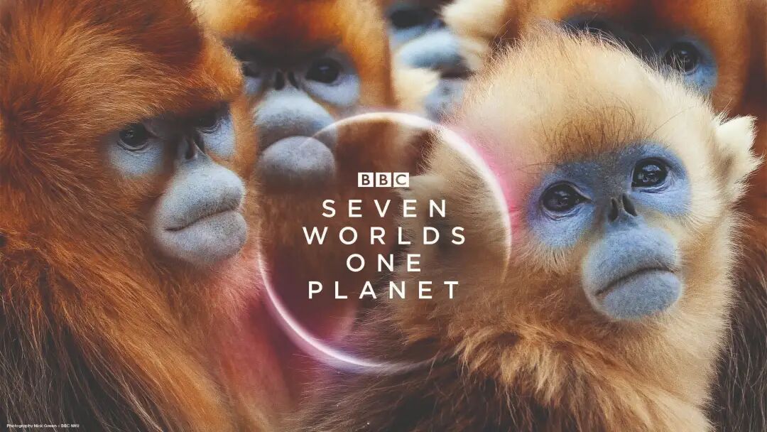 《内驱式学习》，万物好奇者计划里都有推荐