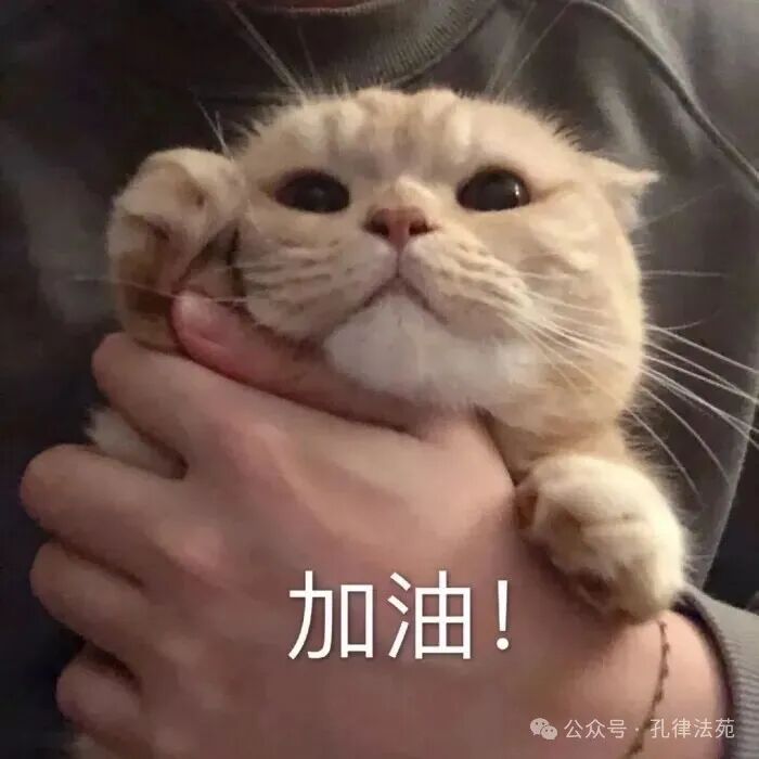 表情包 加油！ - 堆糖，美图壁纸兴趣社区