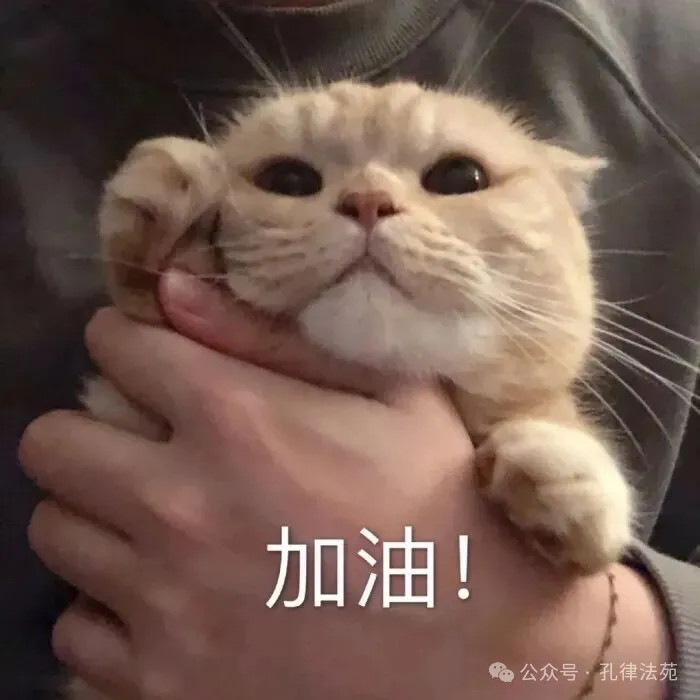表情包 加油! - 堆糖,美图壁纸兴趣社区