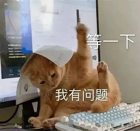 等一下 我有问题 表情包